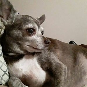 Meet your Posher, Jackie